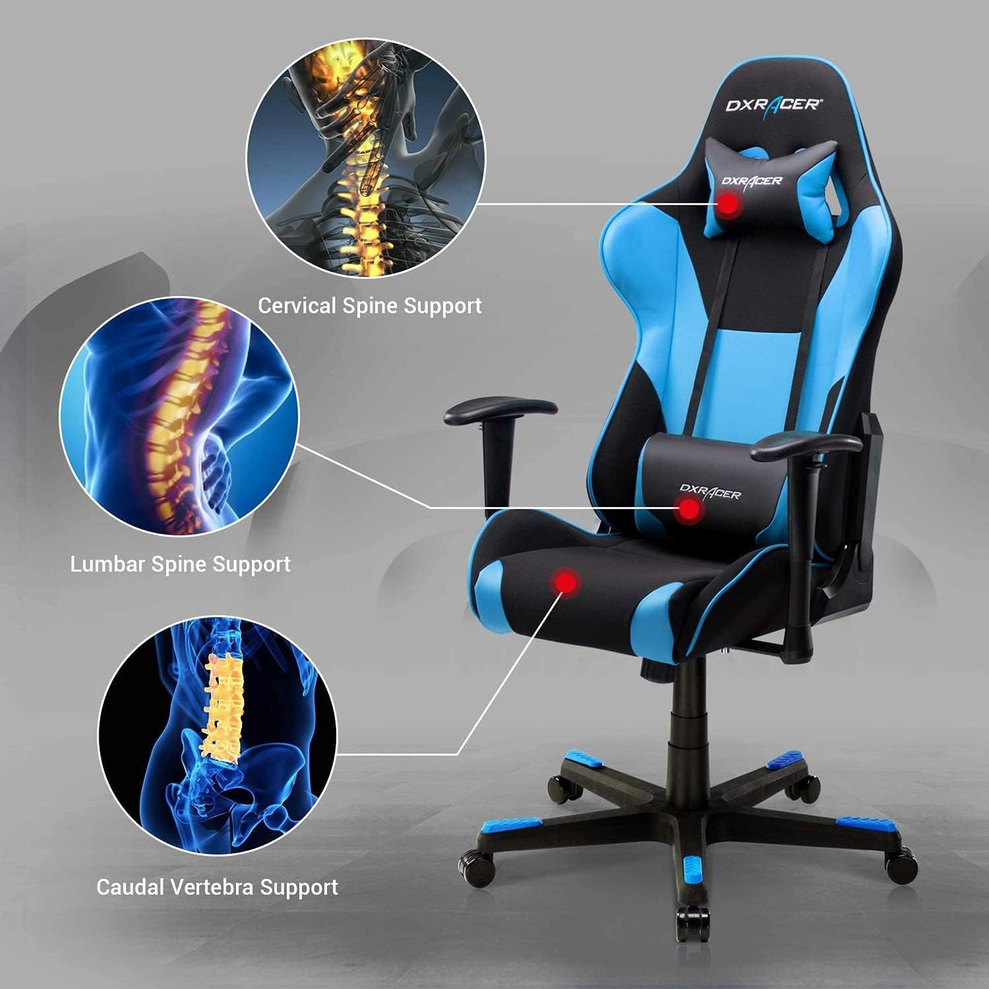 DXRacer Formula Series PC Gaming Chairs Seat Height Adjustable Recliner with Ergonomic Head Pillow and Lumbar Support Black & BlueGC-F101-NB-D3 Dxracer Chair Gamers Point
