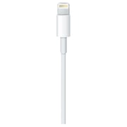 Apple Lightning To USB Cable 1m