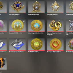 Steam Main Account | CS2 30+ Medals & 100+ Games