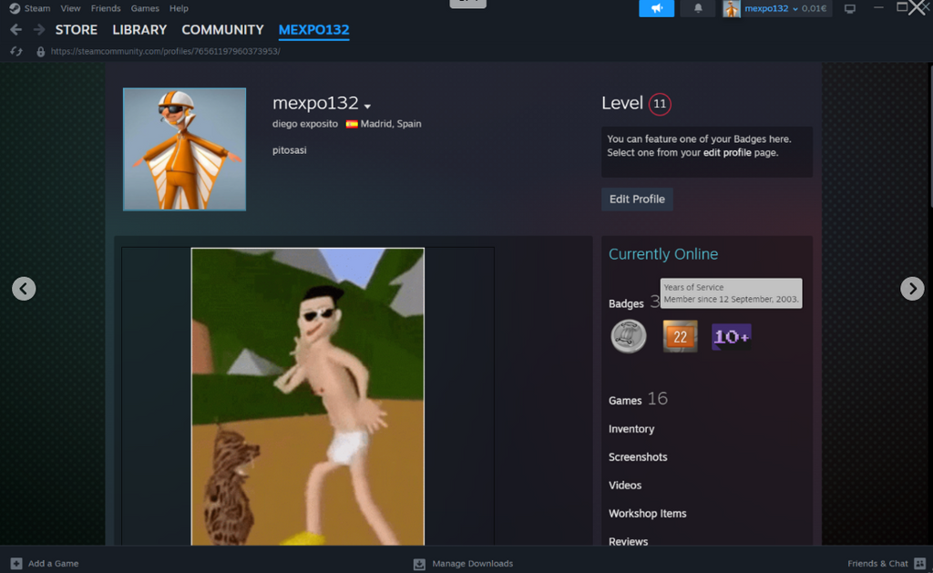 2003 Steam Collector Account | Level 11 & Email Access | Gamers Point
